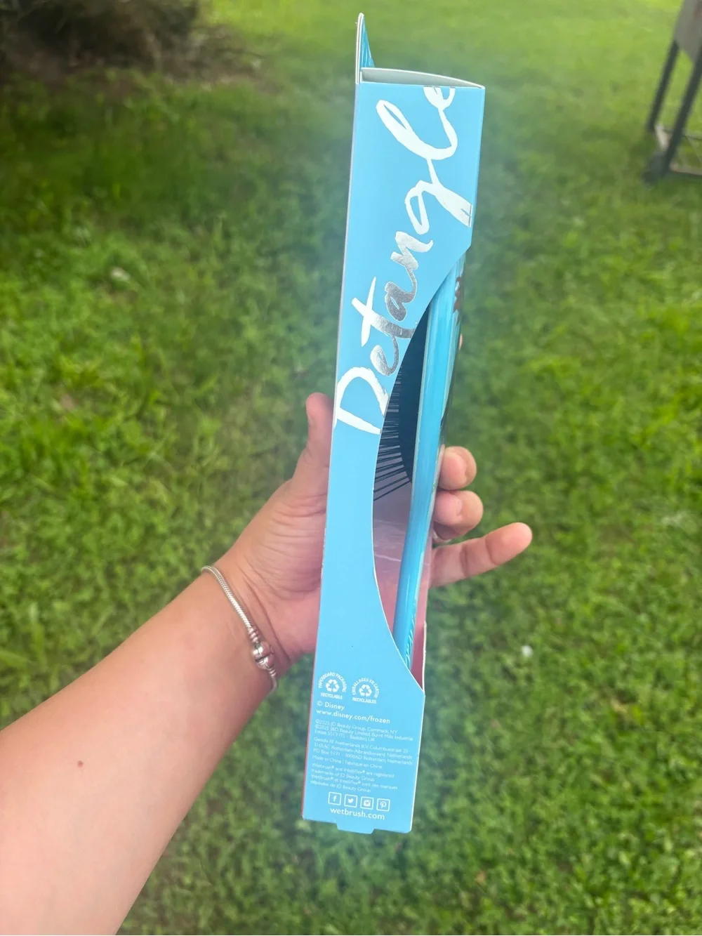 Wet Brush Disney Frozen Anna Detangler